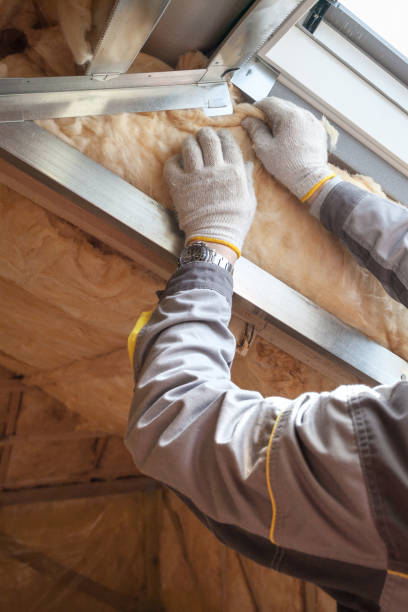 Best Insulation Maintenance and Repair in Smackover, AR