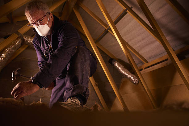 Best Geographic-Specific Insulation Services in Smackover, AR